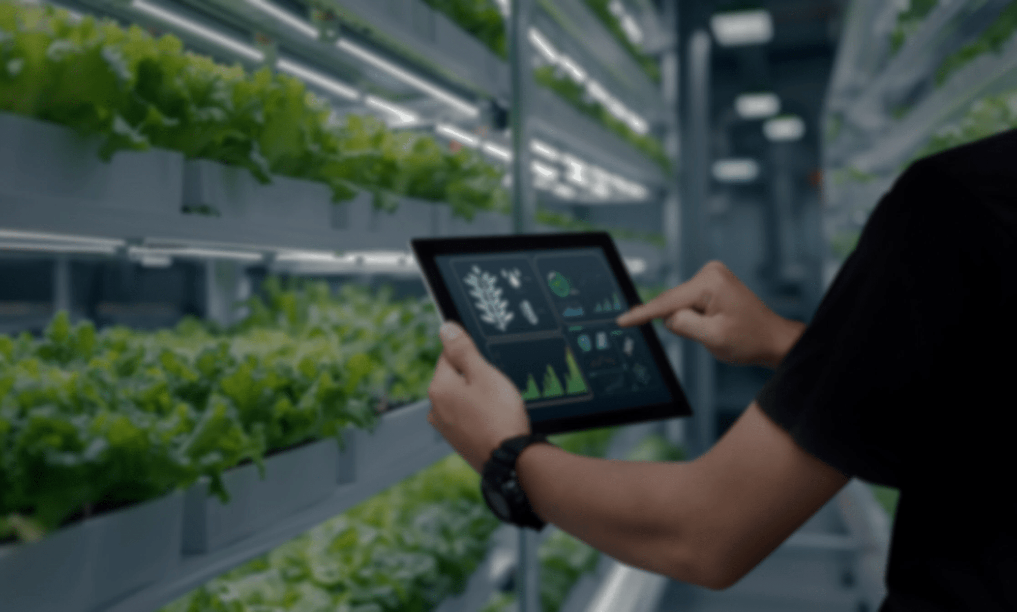 AGF digitalisering - banner-min