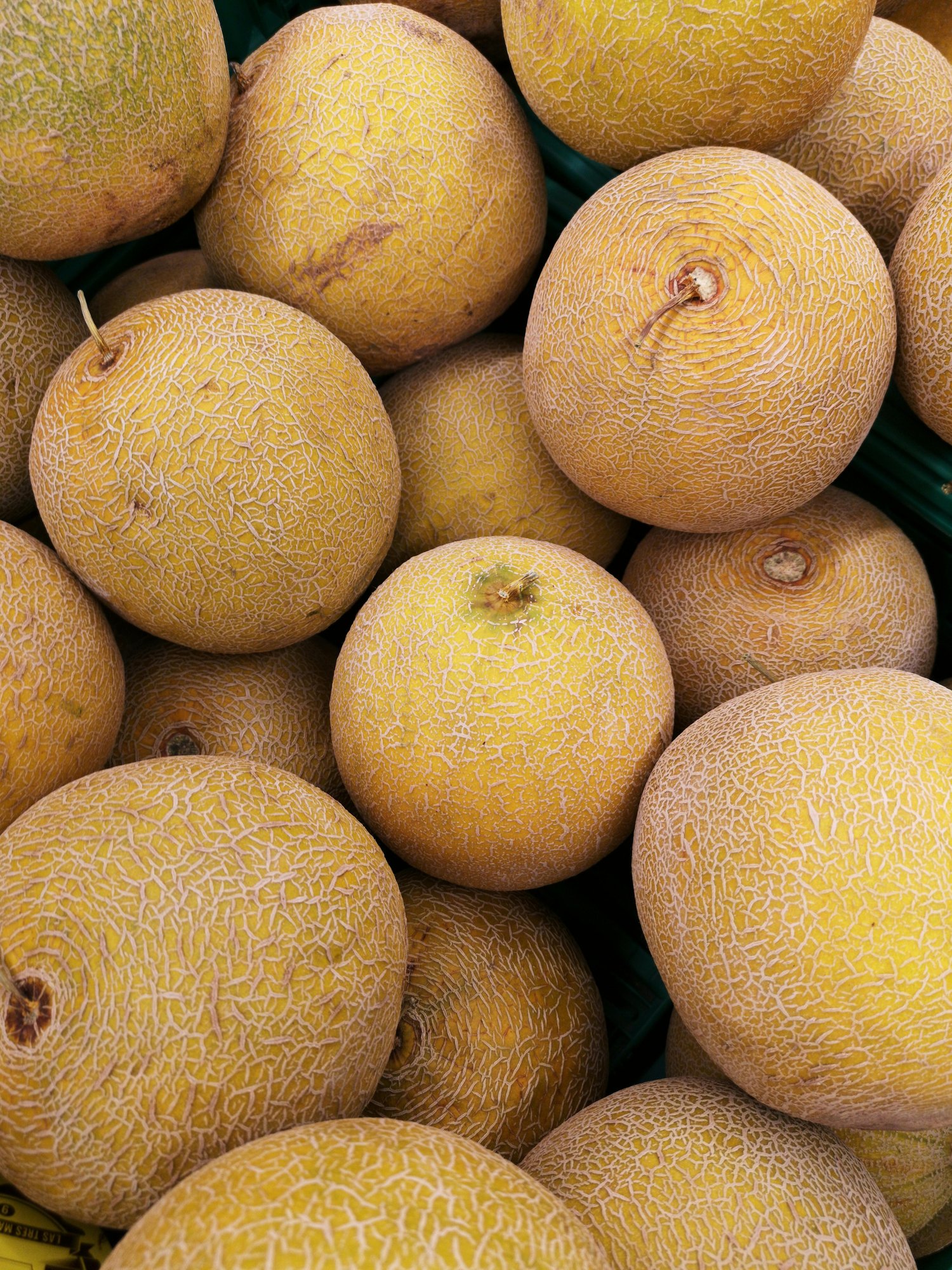 Aartse fruit 4 Aartse fruit 4
