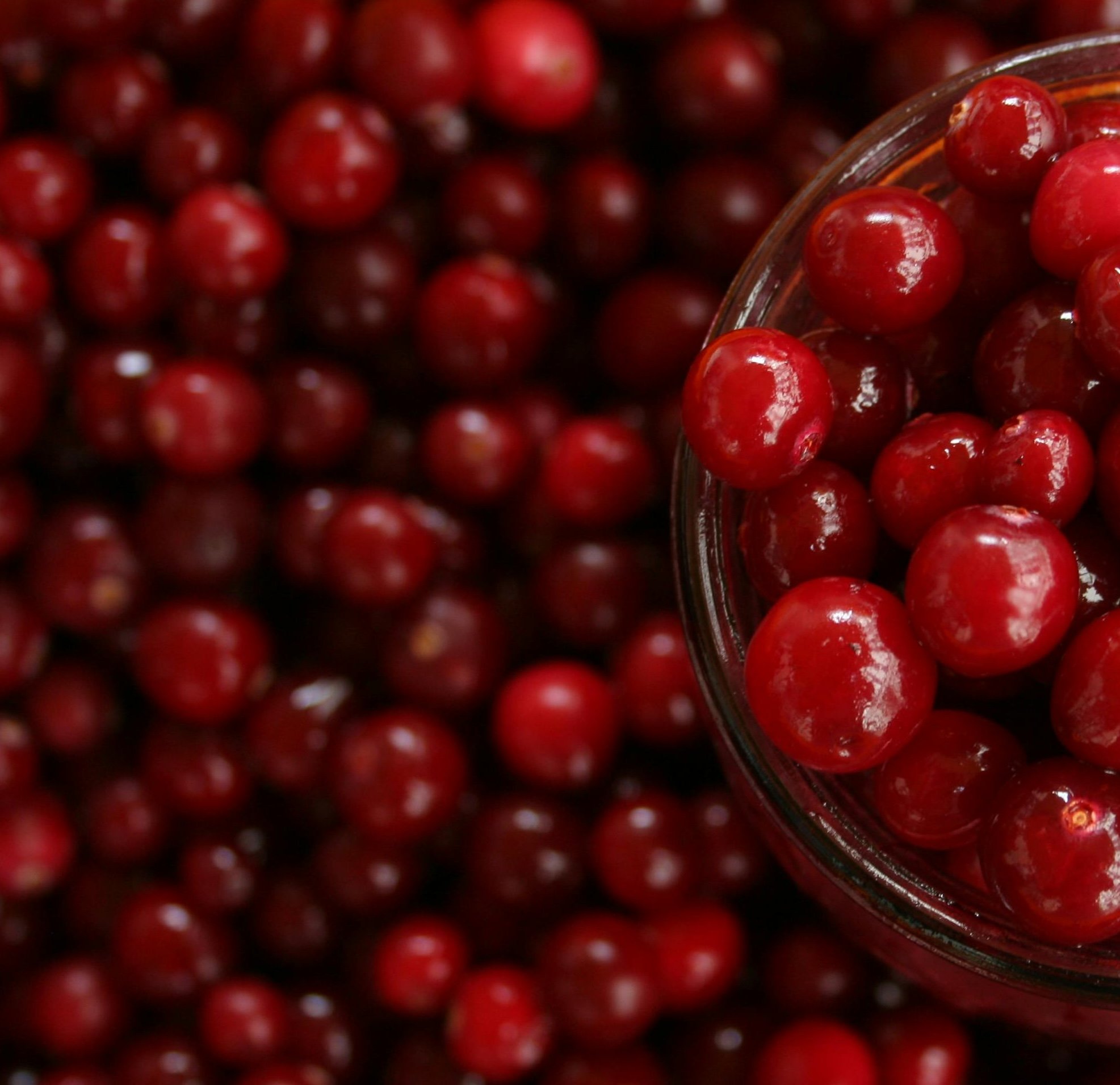 Aartsen fruit 1
