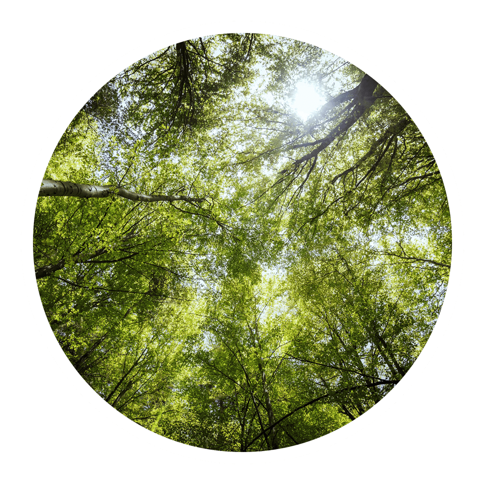 Thinkwise-Stiftung Thinkwise-Stiftung