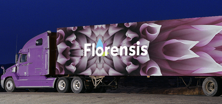 Florensis