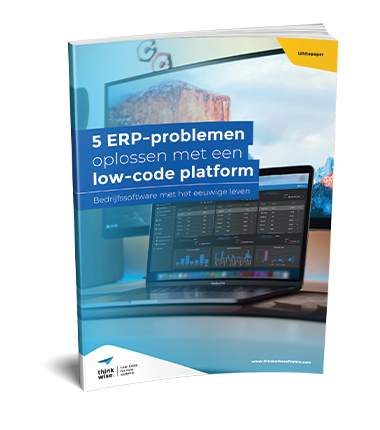 Visual landingspagina Hubspot - 5 ERP problemen-NL-cover