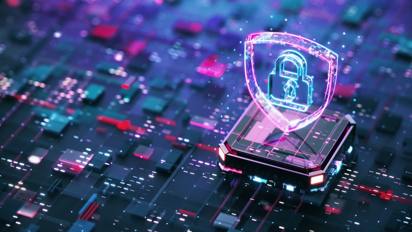 software-security